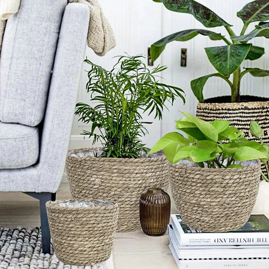 Seagrass Planter Basket: Eco-Friendly Elegance for Plant Lovers