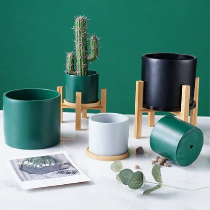 Elegant Wooden Plant Stand for Indoor Bonsai - Perfect Decor