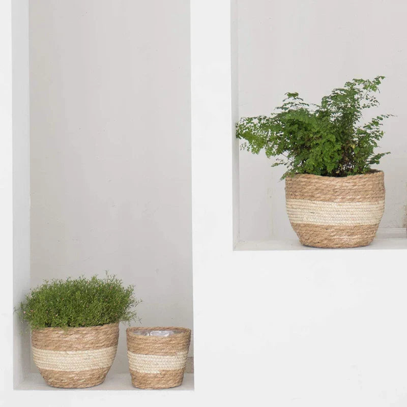 Seagrass Planter Basket: Eco-Friendly Elegance for Plant Lovers