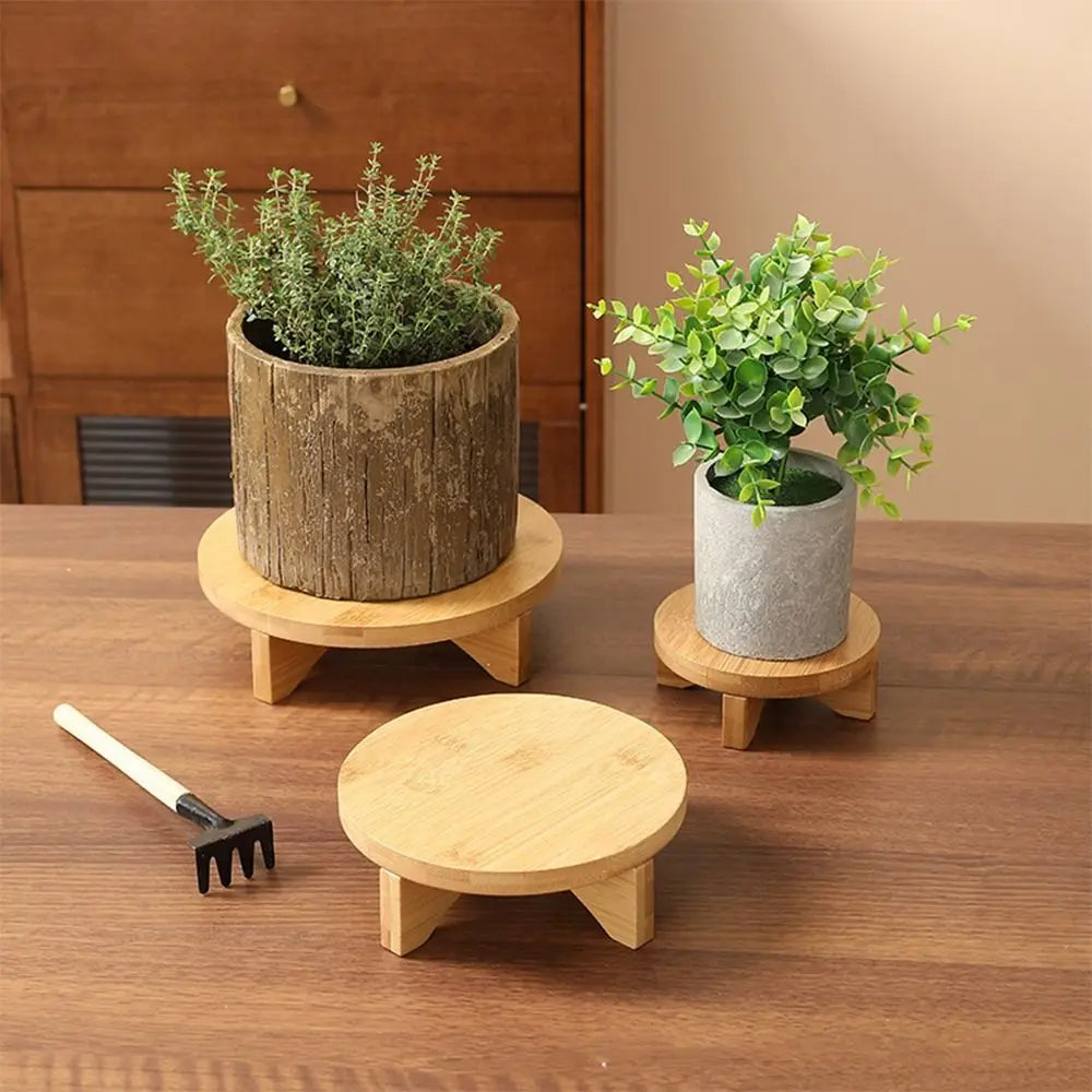 Elegant Wooden Bonsai Display Stand for Plant Lovers - Eco-Friendly Showcase
