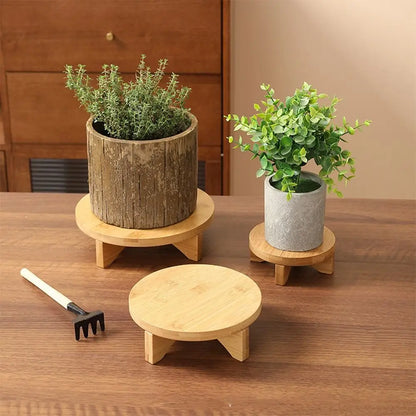 Elegant Wooden Bonsai Display Stand for Plant Lovers - Eco-Friendly Showcase