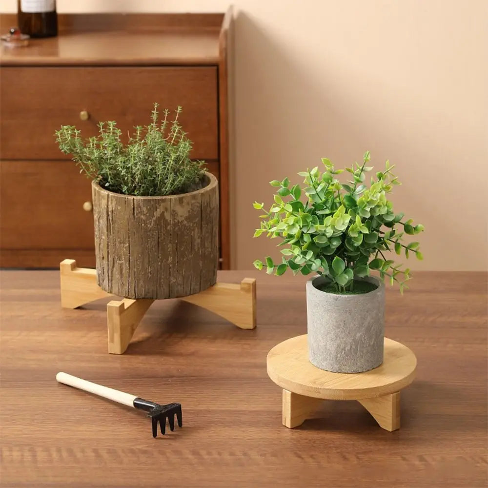 Elegant Wooden Bonsai Display Stand for Plant Lovers - Eco-Friendly Showcase