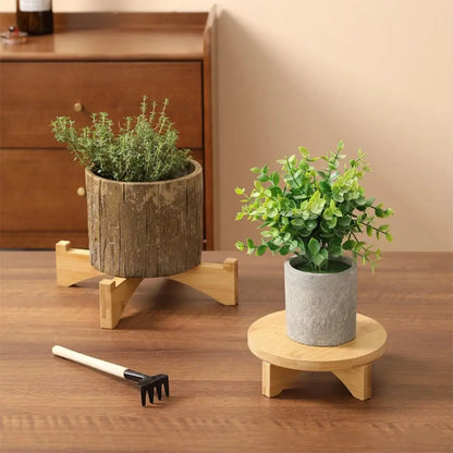 Elegant Wooden Bonsai Display Stand for Plant Lovers - Eco-Friendly Showcase